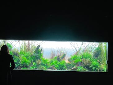 AOAO SAPPOROに投稿された画像（2023/12/11）