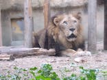 東武動物公園に投稿された画像（2023/12/11）