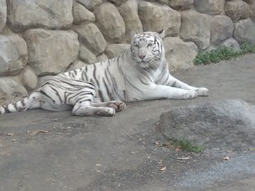 東武動物公園に投稿された画像（2023/12/11）