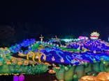 伊豆ぐらんぱる公園に投稿された画像（2023/12/11）
