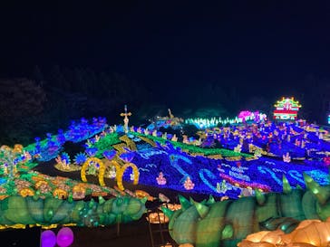 伊豆ぐらんぱる公園に投稿された画像（2023/12/11）