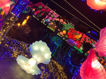 伊豆ぐらんぱる公園に投稿された画像（2023/12/11）