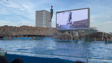 名古屋港水族館に投稿された画像（2023/12/11）