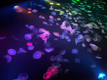 すみだ水族館に投稿された画像（2023/12/11）