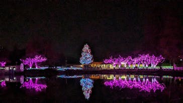 東武動物公園に投稿された画像（2023/12/11）