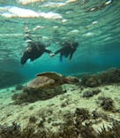 宮古島 ADVENTURE PiPi（ミヤコジマ アドベンチャー ピピ）に投稿された画像（2023/12/11）