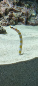 アクアワールド茨城県大洗水族館に投稿された画像（2023/12/11）