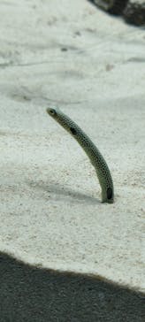 アクアワールド茨城県大洗水族館に投稿された画像（2023/12/11）