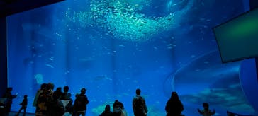 アクアワールド茨城県大洗水族館に投稿された画像（2023/12/11）