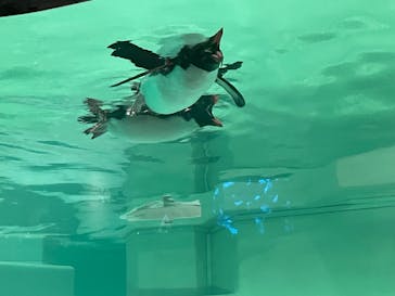 AOAO SAPPOROに投稿された画像（2023/12/11）