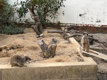 東武動物公園に投稿された画像（2023/12/11）