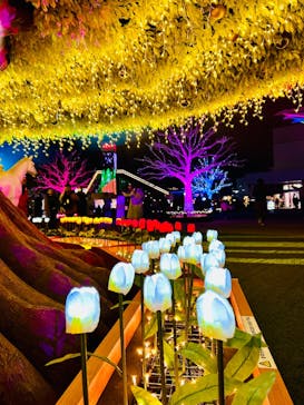 東京メガイルミに投稿された画像（2023/12/11）