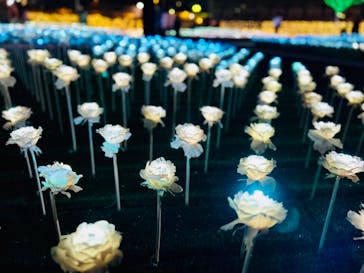 東京メガイルミに投稿された画像（2023/12/11）