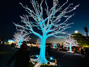 東京メガイルミに投稿された画像（2023/12/11）