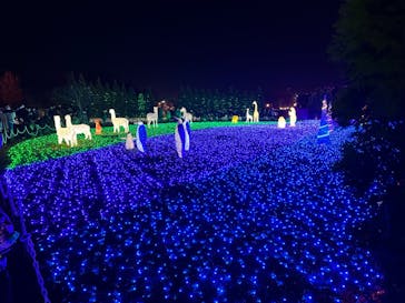 東武動物公園に投稿された画像（2023/12/11）