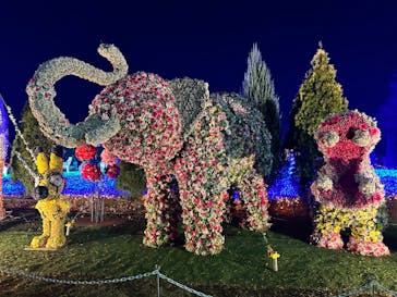 東武動物公園に投稿された画像（2023/12/11）