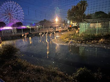 東武動物公園に投稿された画像（2023/12/11）