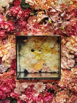 NARA KINGYO MUSEUMに投稿された画像（2023/12/11）