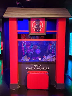 NARA KINGYO MUSEUMに投稿された画像（2023/12/11）