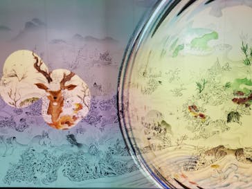 NARA KINGYO MUSEUMに投稿された画像（2023/12/11）