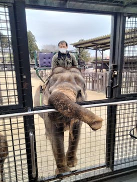 那須サファリパークに投稿された画像（2023/12/11）