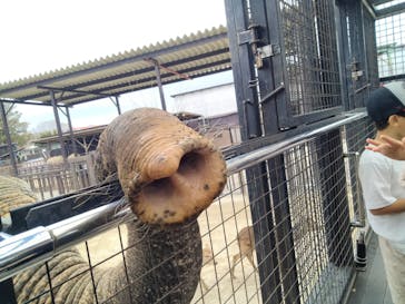 那須サファリパークに投稿された画像（2023/12/11）