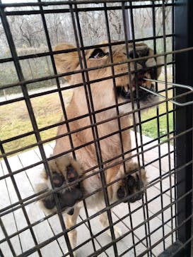 那須サファリパークに投稿された画像（2023/12/11）