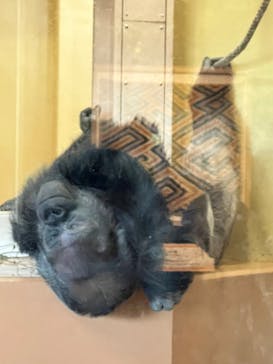 名古屋市東山動植物園に投稿された画像（2023/12/12）