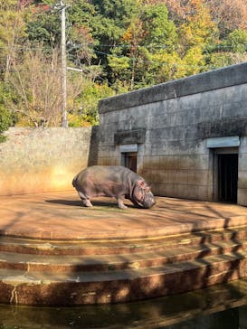 名古屋市東山動植物園に投稿された画像（2023/12/12）