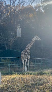 名古屋市東山動植物園に投稿された画像（2023/12/12）