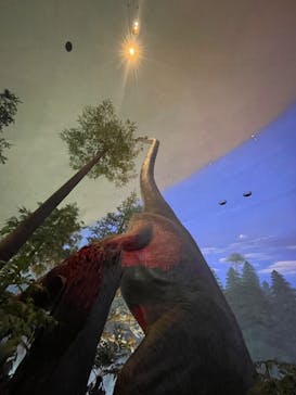 福井県立恐竜博物館に投稿された画像（2023/12/12）