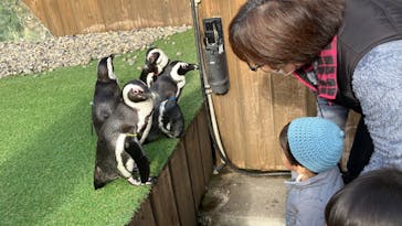 おさるランド＆アニタウン　日光さる軍団劇場に投稿された画像（2023/12/12）