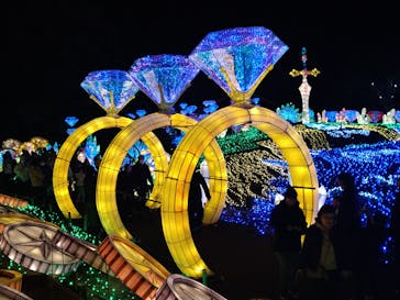 伊豆ぐらんぱる公園に投稿された画像（2023/12/12）