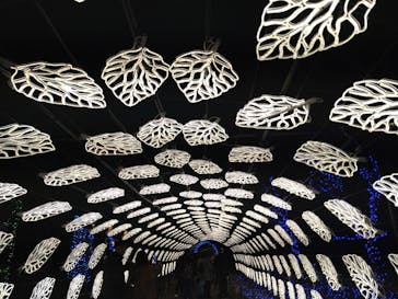 伊豆ぐらんぱる公園に投稿された画像（2023/12/12）