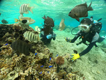 武藤潜水に投稿された画像（2023/12/12）