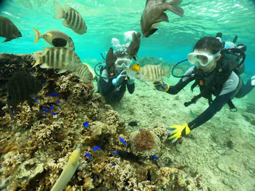 武藤潜水に投稿された画像（2023/12/12）