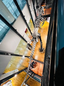 福井県立恐竜博物館に投稿された画像（2023/12/12）