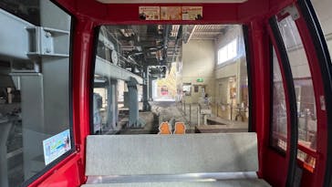 のぼりべつクマ牧場に投稿された画像（2023/12/12）