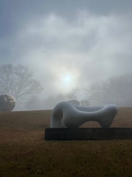 彫刻の森美術館に投稿された画像（2023/12/12）