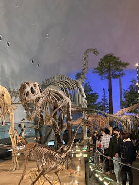 福井県立恐竜博物館に投稿された画像（2023/12/12）