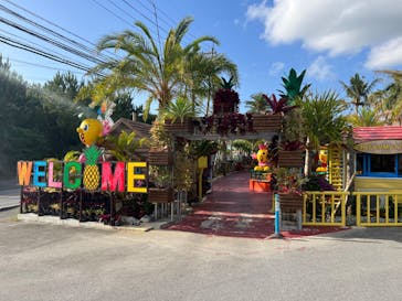 ナゴパイナップルパークに投稿された画像（2023/12/12）