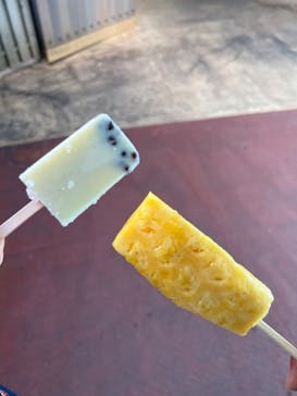 ナゴパイナップルパークに投稿された画像（2023/12/12）