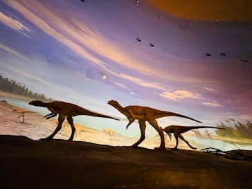 福井県立恐竜博物館に投稿された画像（2023/12/12）