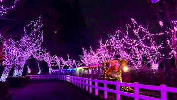 東武動物公園に投稿された画像（2023/12/12）