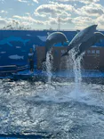 仙台うみの杜水族館に投稿された画像（2023/12/12）