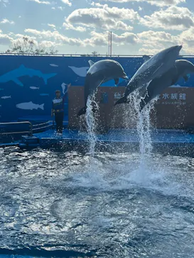 仙台うみの杜水族館に投稿された画像（2023/12/12）