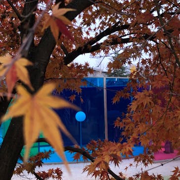 金沢21世紀美術館に投稿された画像（2023/12/12）