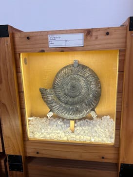 福井県立恐竜博物館に投稿された画像（2023/12/12）