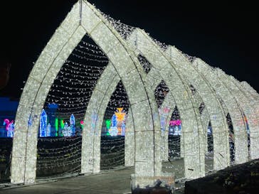 神戸イルミナージュに投稿された画像（2023/12/12）