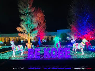 神戸イルミナージュに投稿された画像（2023/12/12）